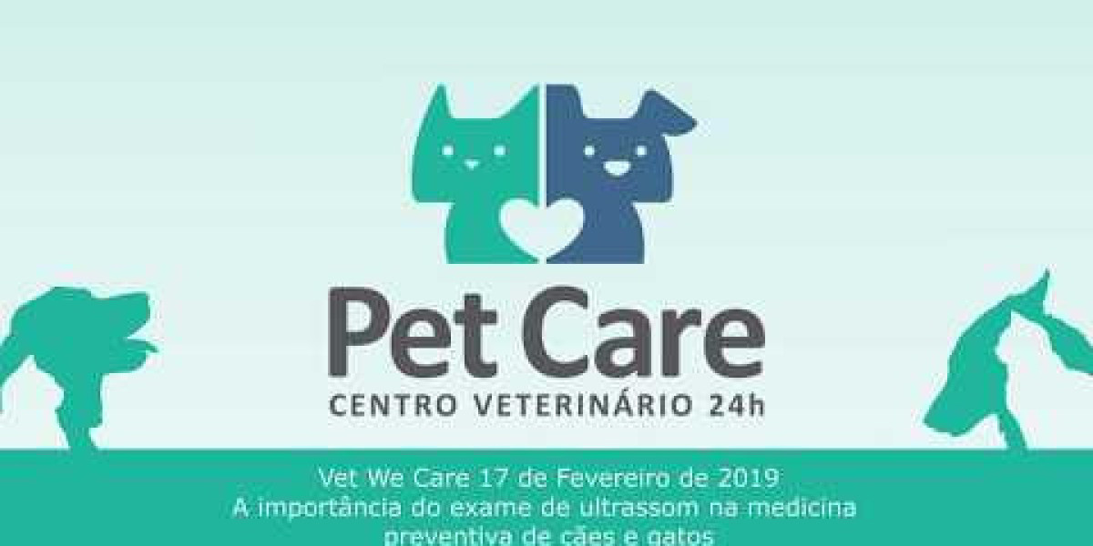 Ultrassom Veterinário 24h: Cuidado e Precisão ao Alcance do Seu Pet