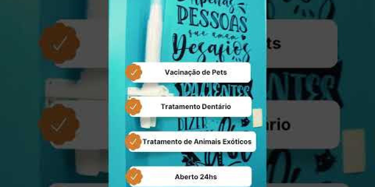 Ecografía veterinaria Diagnóstico y seguimiento clínico de tus pacientes