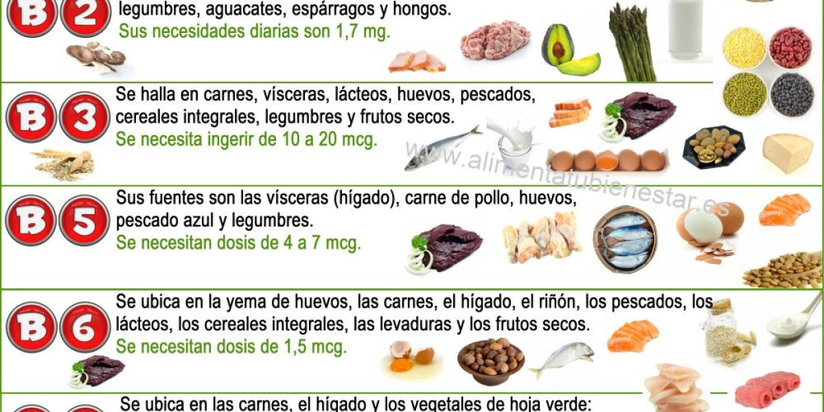 Qué es la ruda y para qué sirve: las propiedades de esta planta medicinal, sus contraindicaciones y cómo prepararla