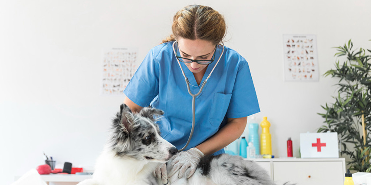 Radiografía de contraste animales