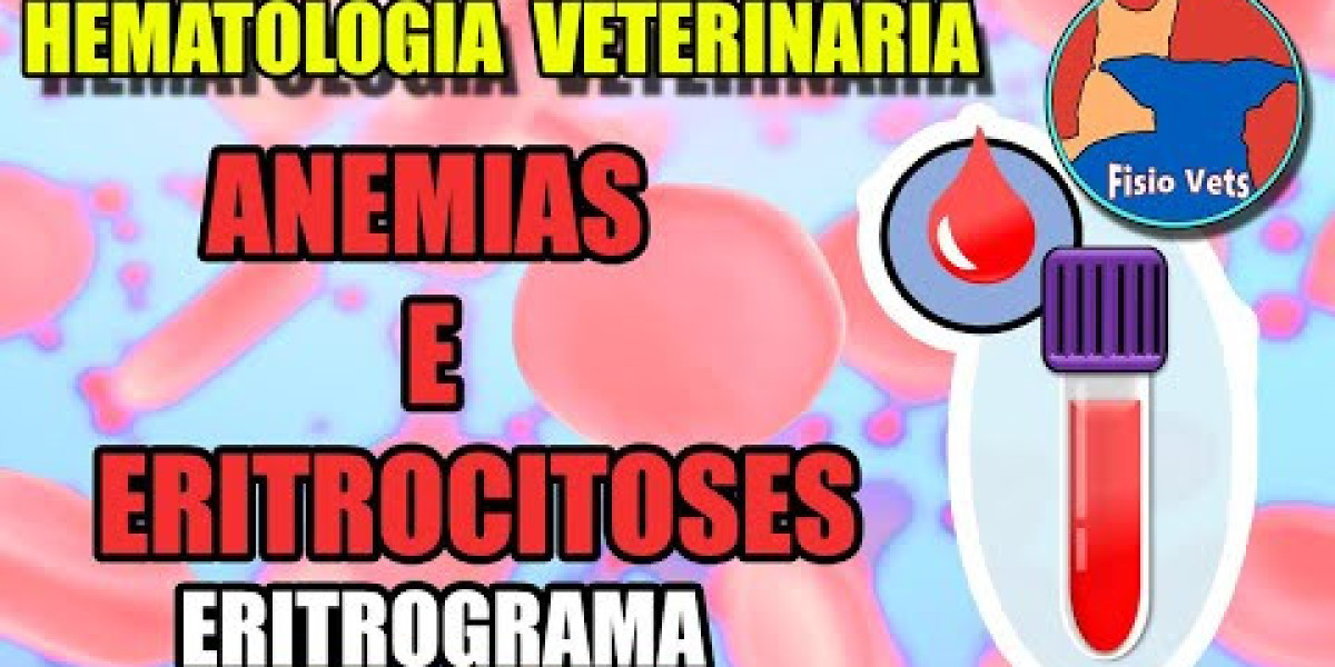 Servicio de radiología veterinaria