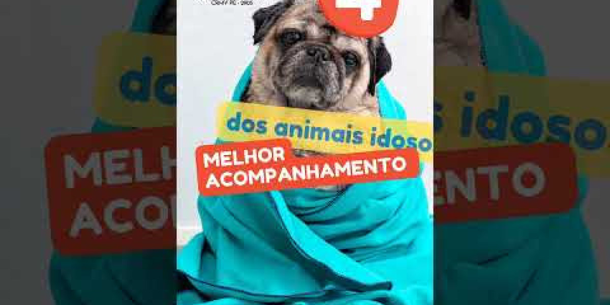 O Animal Mais Perigoso: Quem Realmente Transmite Raiva?