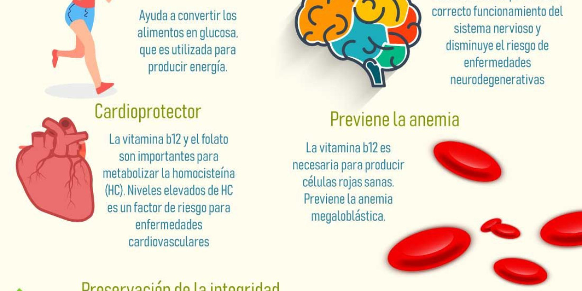 Descubre la Vitamina Clave para Combatir la Inflamación Estomacal y Mejorar Tu Bienestar